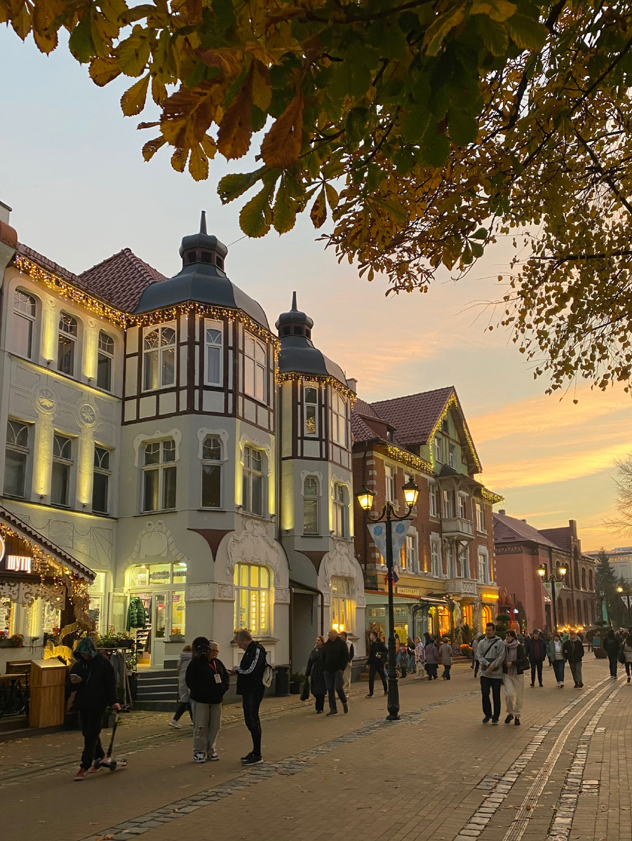 Курортный проспект, фото автора