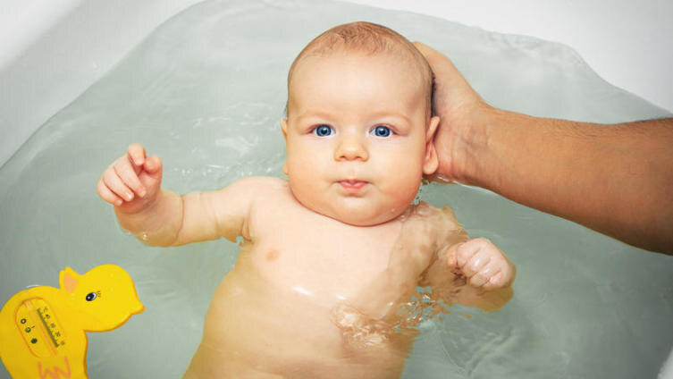    Фото: Synchron, по лицензии shutterstock.com