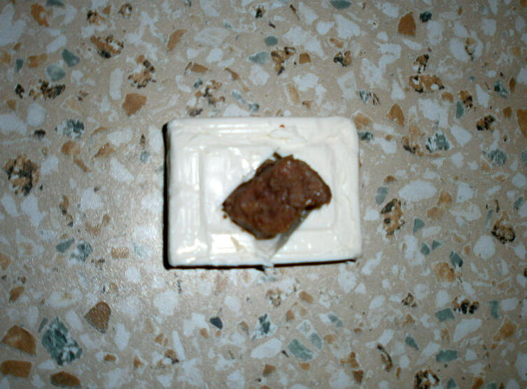    Фото: Андрей Кашкаров, личный архив