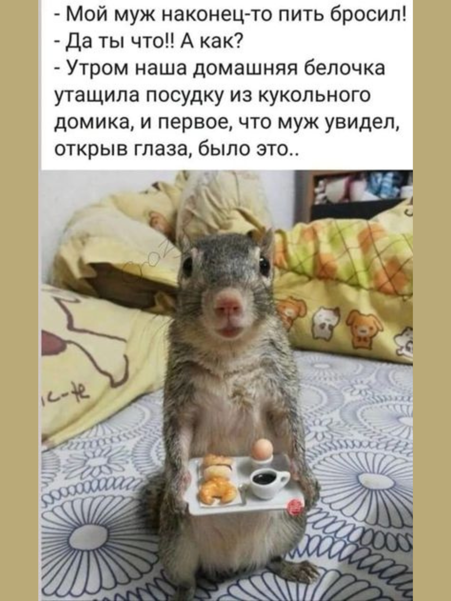 Приколы с добрым утром картинки смешно до слез