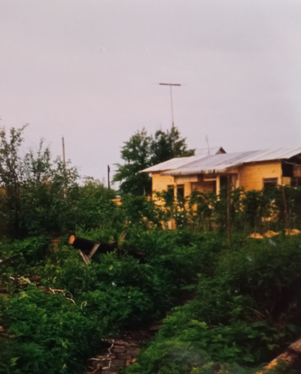 Участок был сильно уставшим ( галерея автора ) 