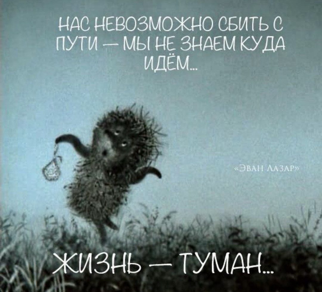 Картинка из интернета. Для мотивации. Для иллюстрации статьи. Для поднятия настроения. И просто чтобы была!