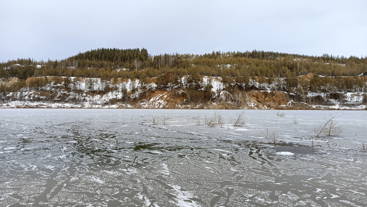 Вот и один из выходов к воде, из воды торчат верхушки деревьев.