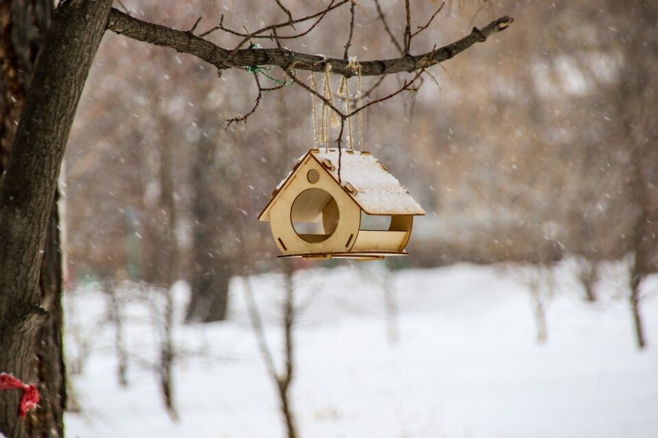    Зима. Снег.. Источник: Виталий Барабаш