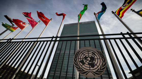    Сирия попросила Совбез ООН остановить израильскую агрессию Егор Гордеев