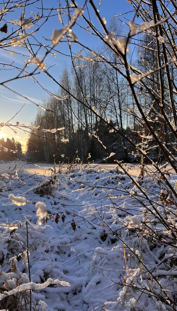 ВЫПАЛ СНЕГ. Фото дочери