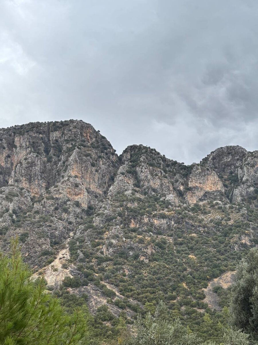 Вид в другую сторону