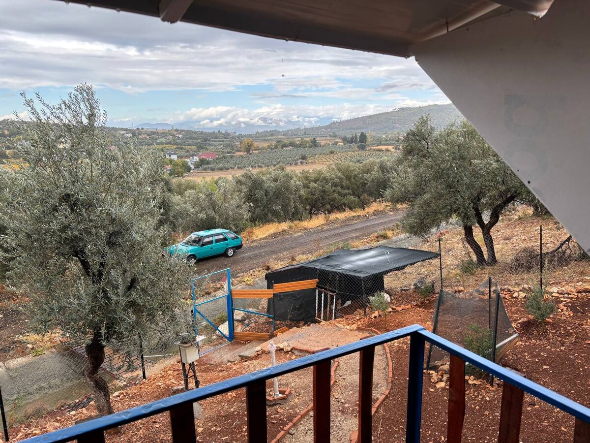 Вид с веранды 