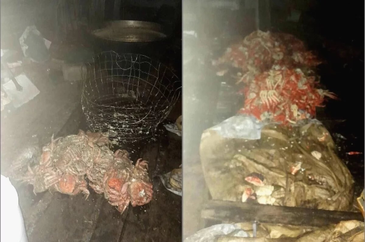   В Хабаровском крае нашли нелегальных крабов на миллион рублей
