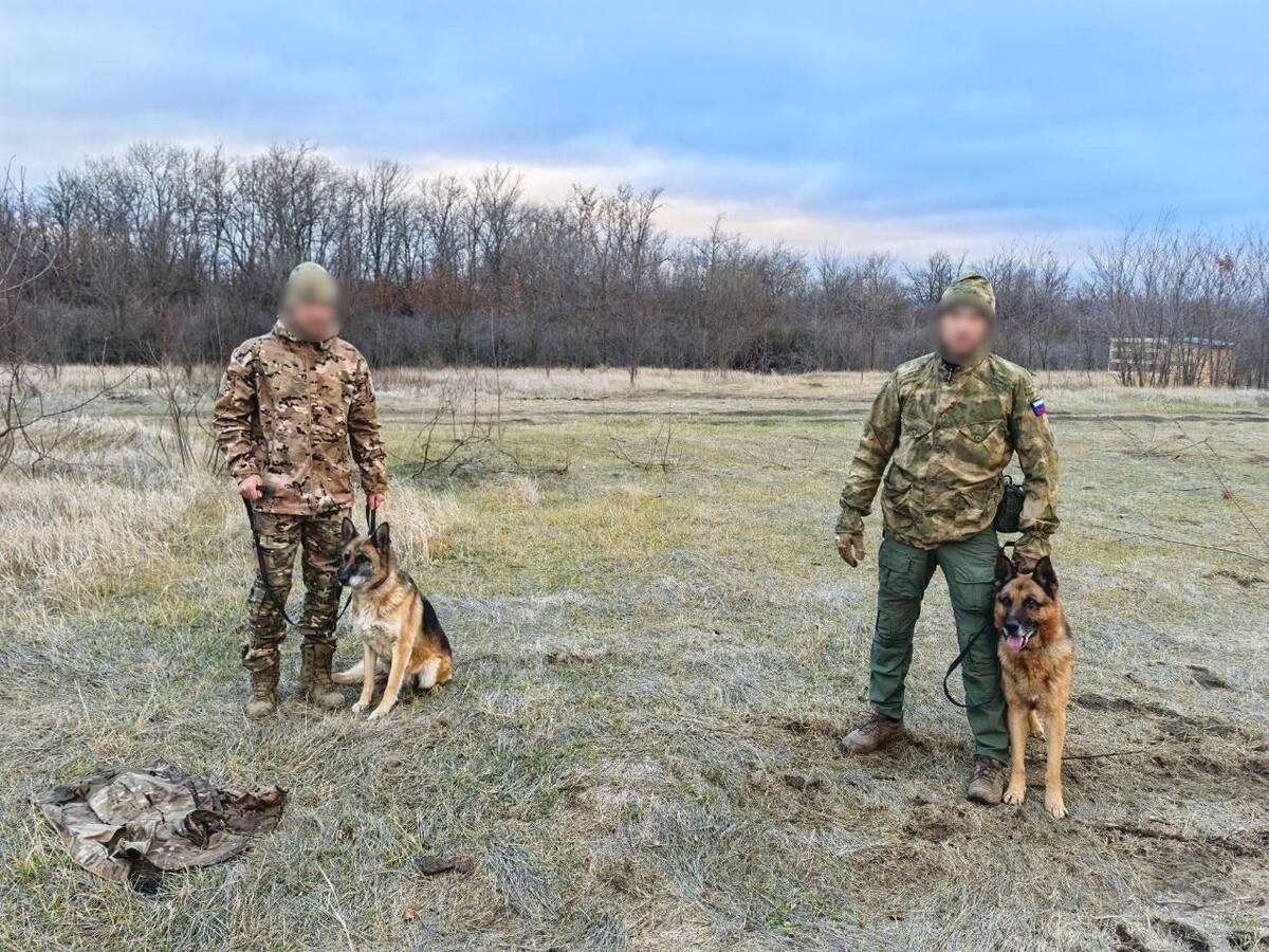    Фото: Telegram-канал Александра Осипова