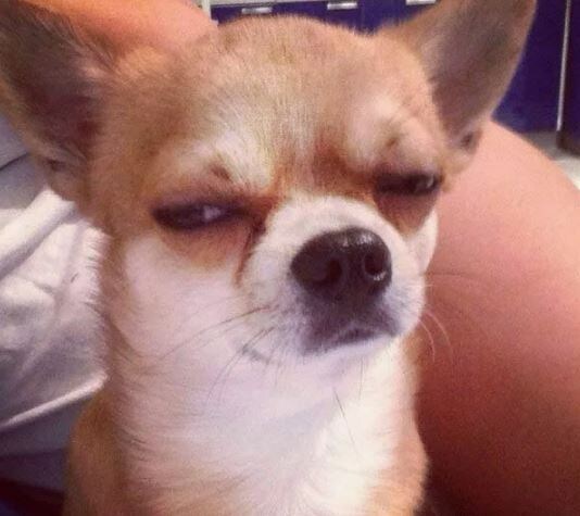 Он так и знал...