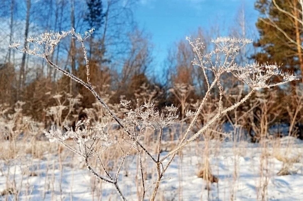    В Омск сегодня вернётся тепло