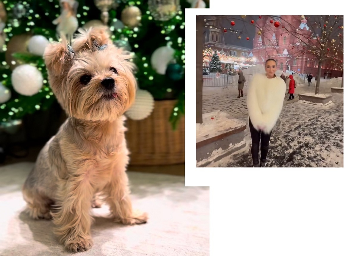 Пока дома Ольгу Бузову ждет только ее Ева. Фото: социальные сети.