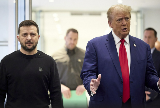    Владимир Зеленский и Дональд Трамп