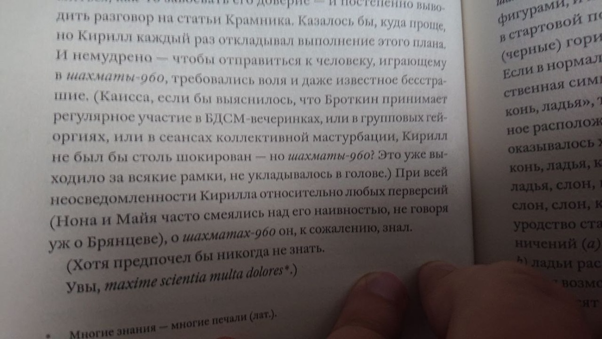 Фрагмент романа