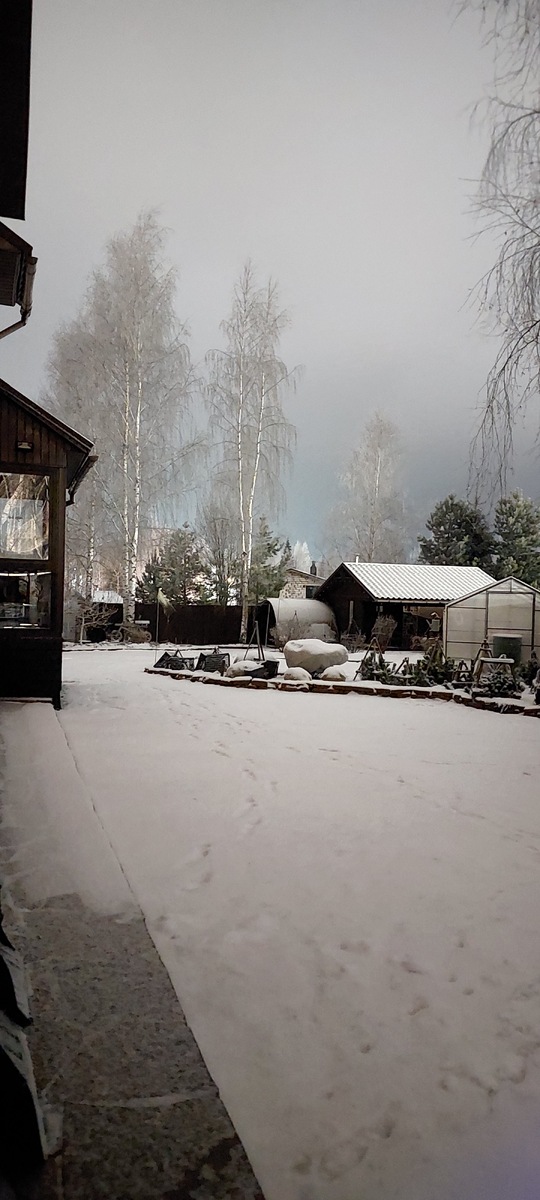 Чуть припорошило и стало сразу светлее.