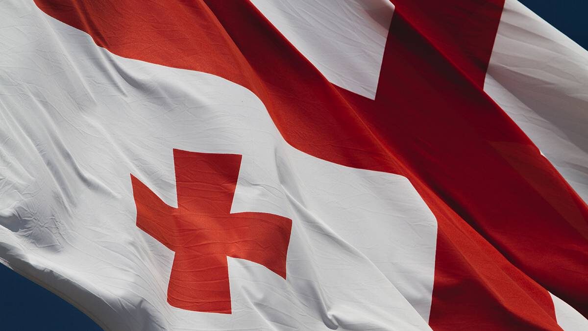    Фото: Shutterstock