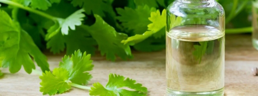 Фото из открытых источников интернета 