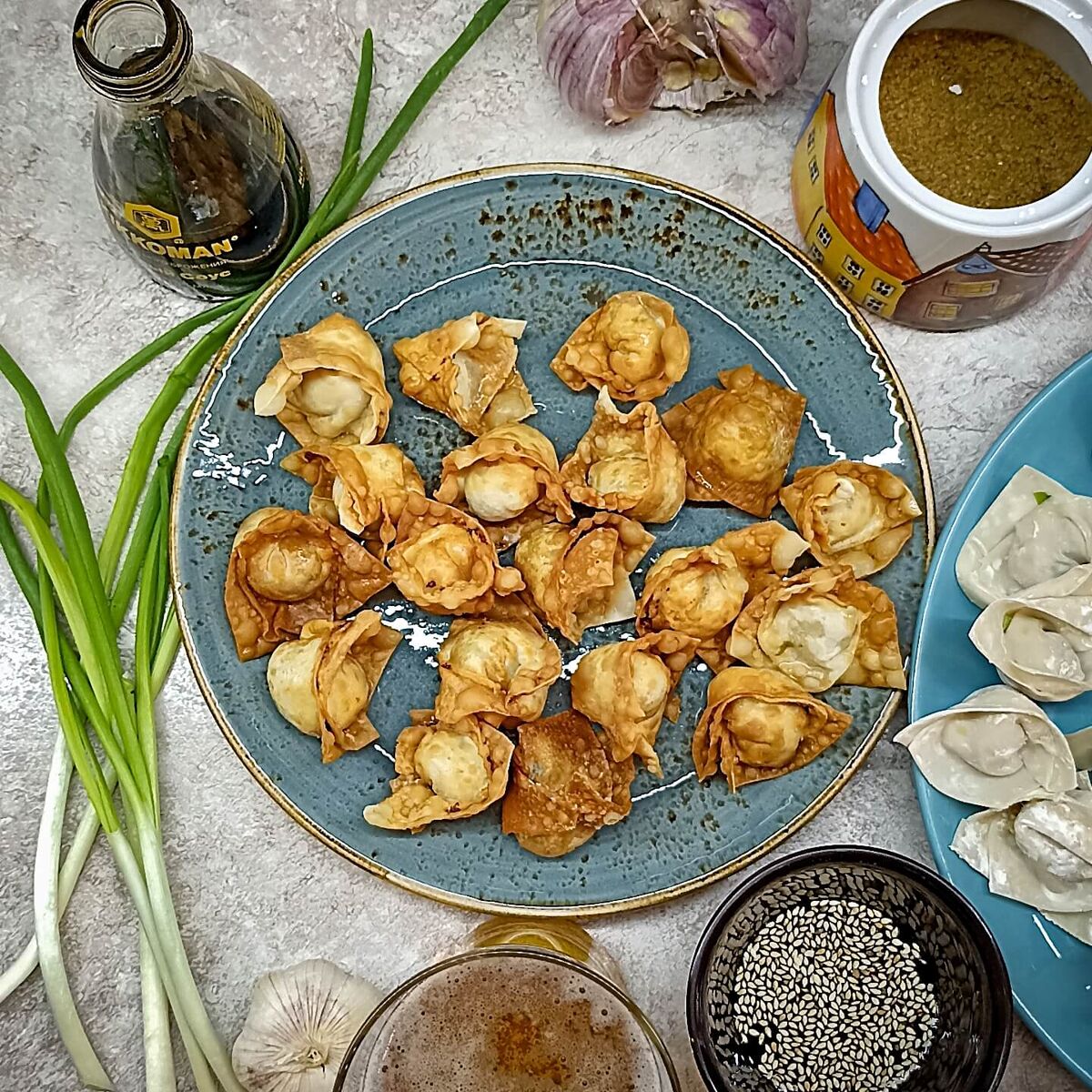 Жареные китайские вонтоны со свининой