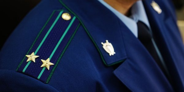    Фото Виктории Перевязко, «Кубань 24»