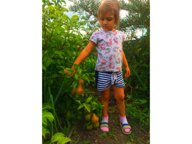 Алиса и поздние груши   фото автора