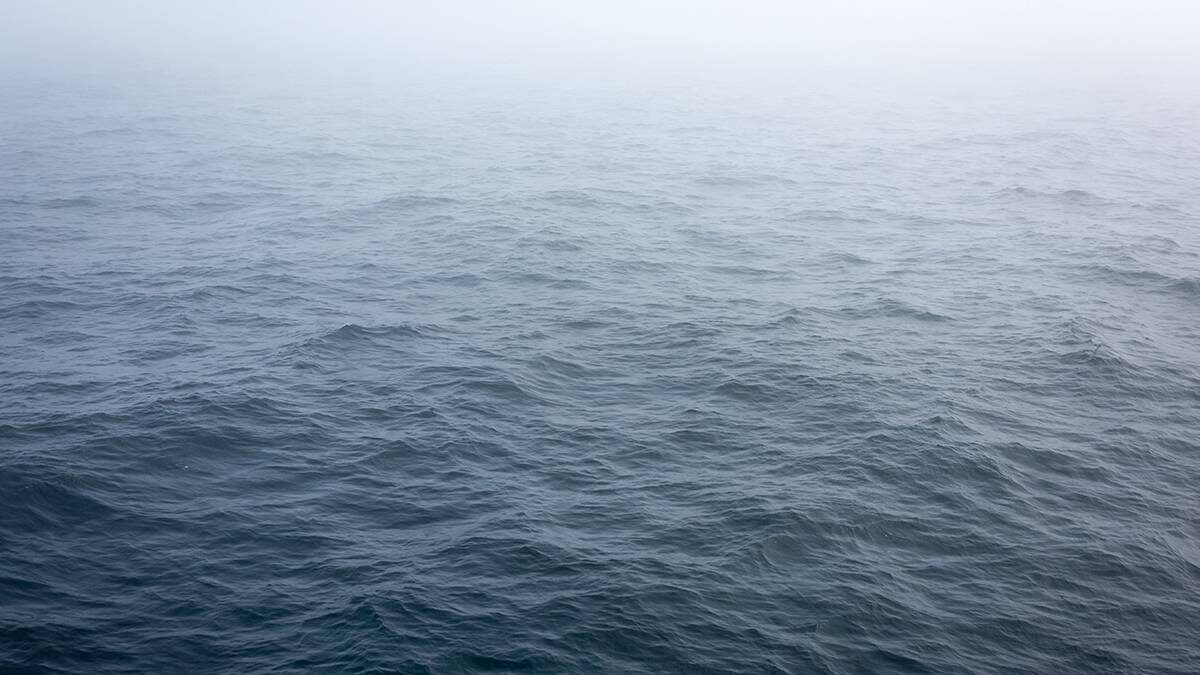    Фото: Shutterstock