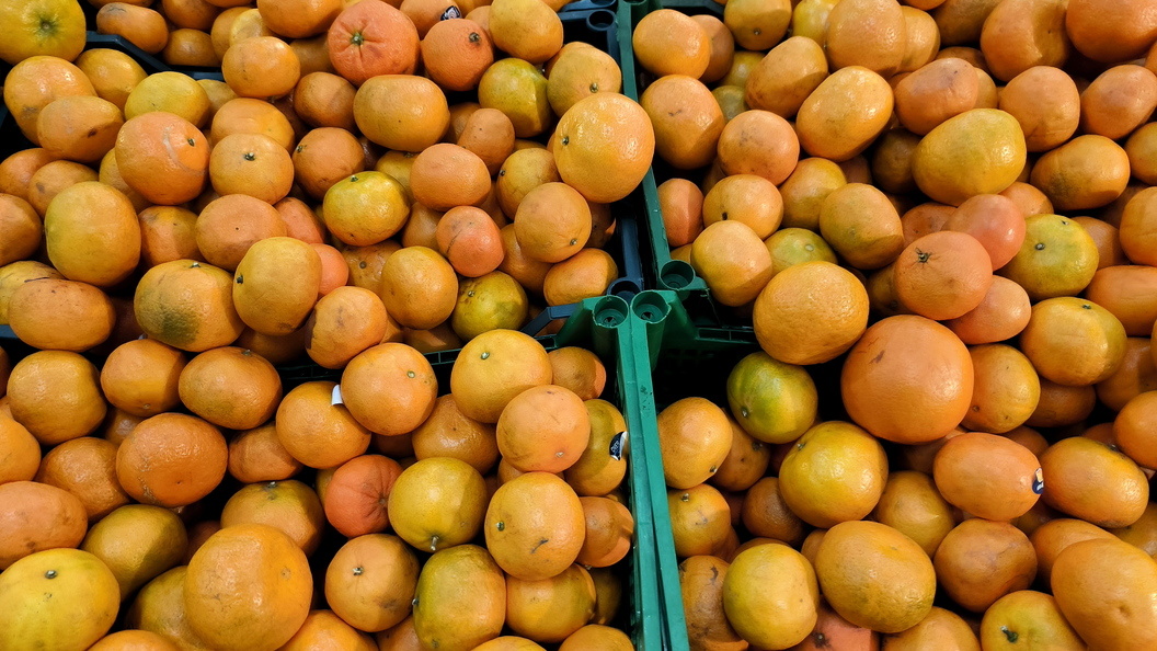    Фото: Maksim Konstantinov /Globallookpress/