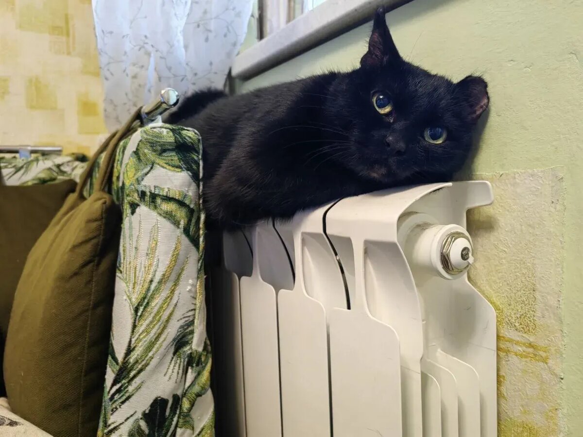     © "Интерфакс". Марина Леонова