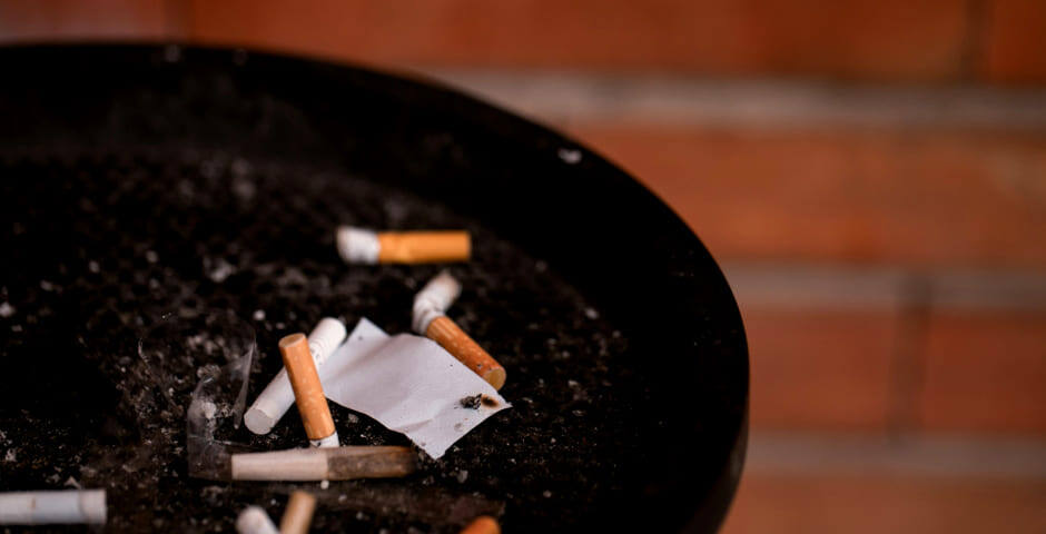    Фото: Prakriti Khajuria/Unsplash