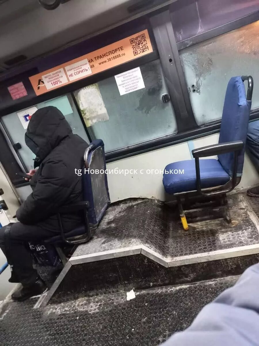     Источник: ТГ/Новосибирск с огоньком