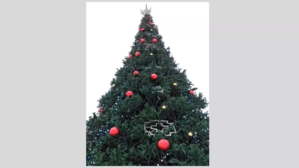     Источник: скриншот видео VK/Дмитрий Чистяков