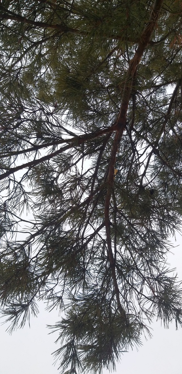 тишина....пока все спят