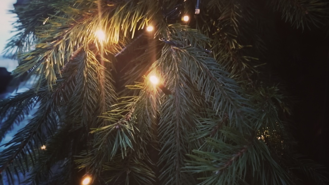    Фото: Царьград