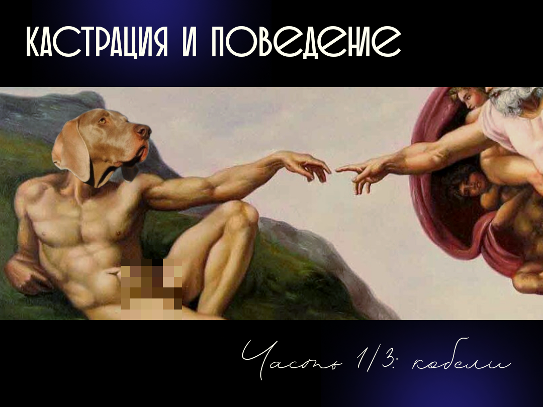 Сотворение хорошего мальчика.