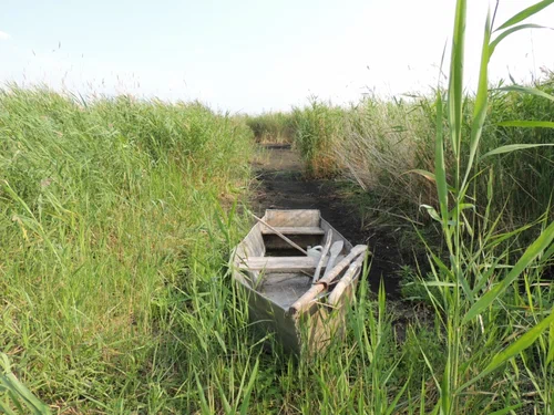 Озеро Кротова Ляга, Карасукский стационар Института, 2012