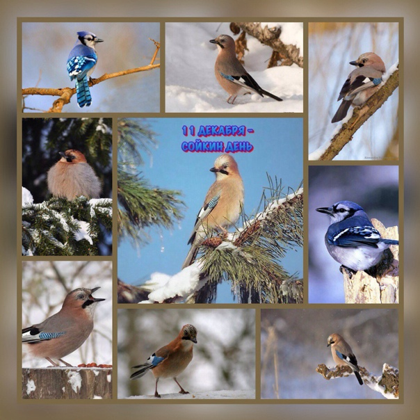 Фото из интернета