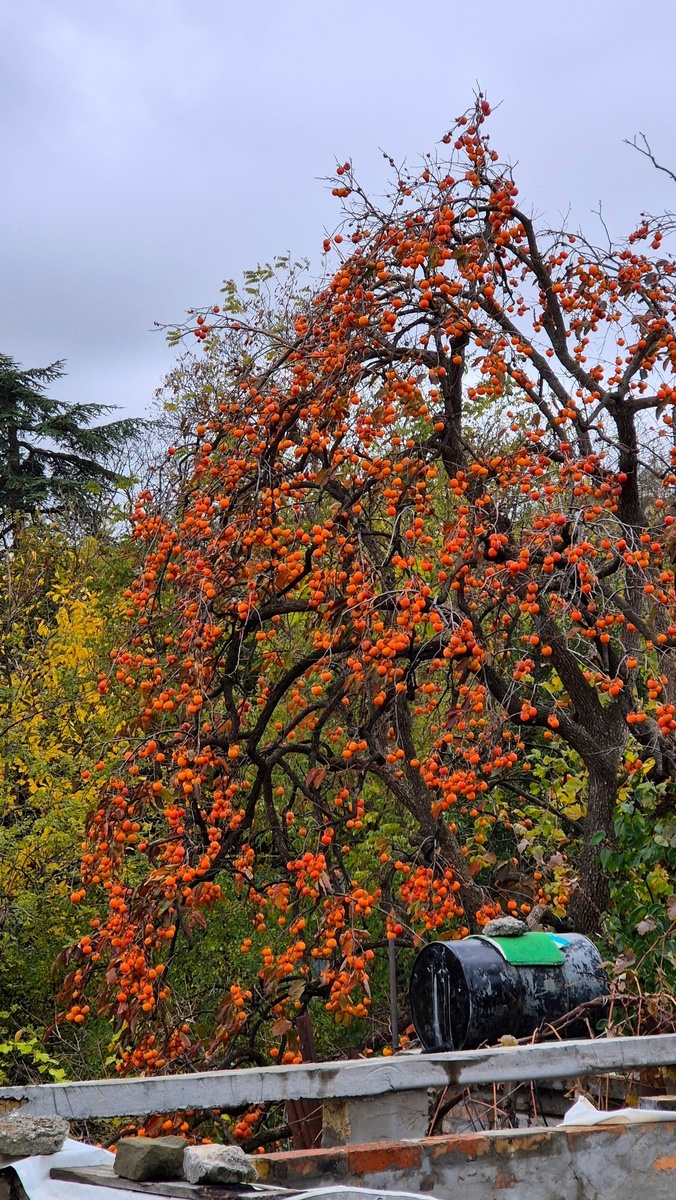 Фото: Михиал Мельник 