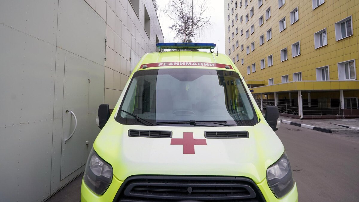    Фото: ИЗВЕСТИЯ/Эдуард Корниенко