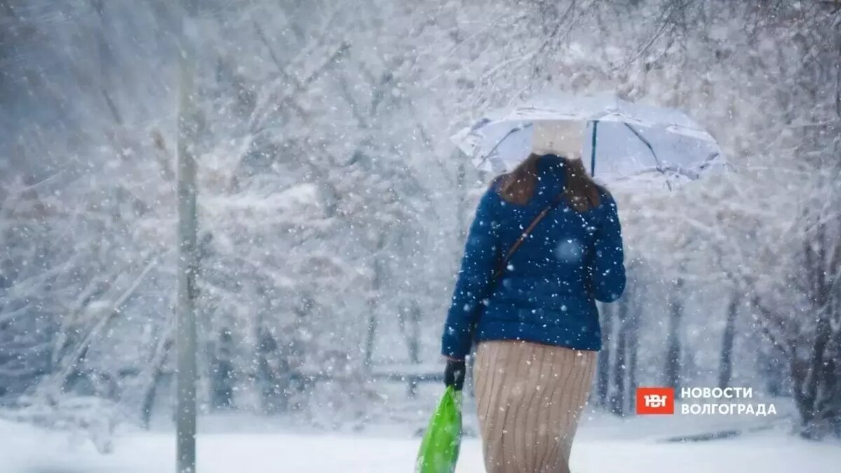     Источник: novostivolgograda.ru
