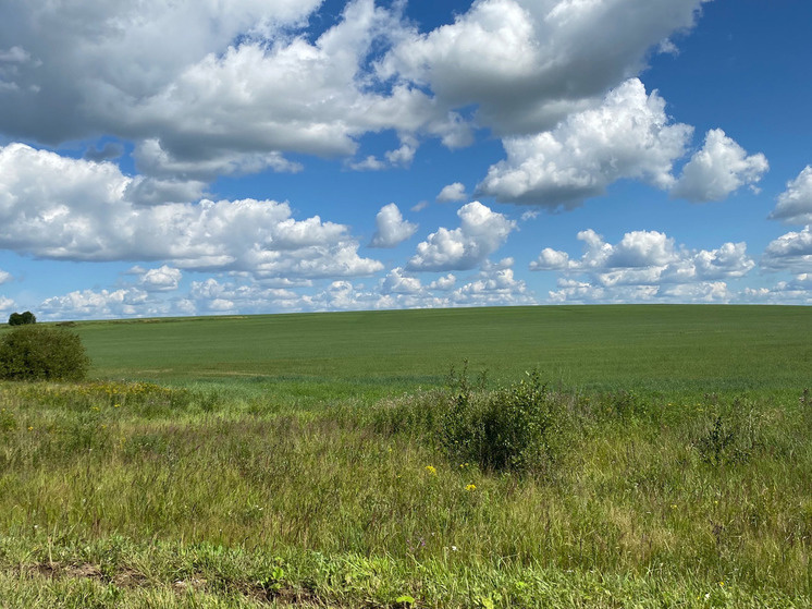     Фото: "МК в Калуге"