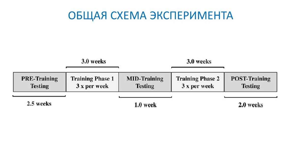 Рисунок 1. Общая схема эксперимента.