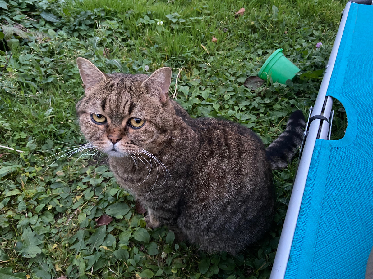 Усами буквально "держит дистанцию"