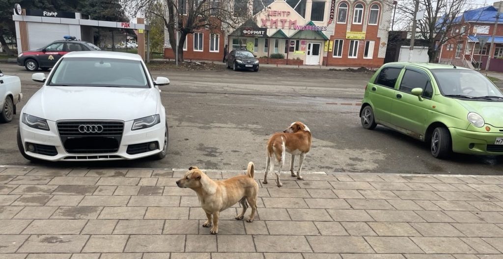    Фото автора. Олег Размоскин