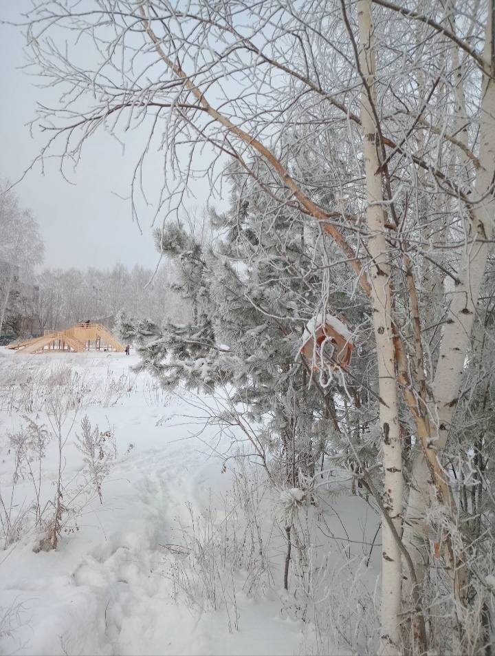 Мороз и горка