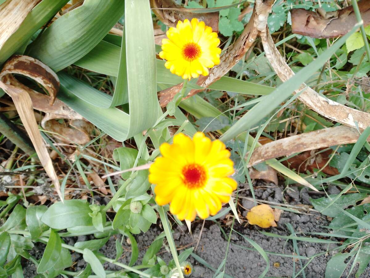 Для обложечки.