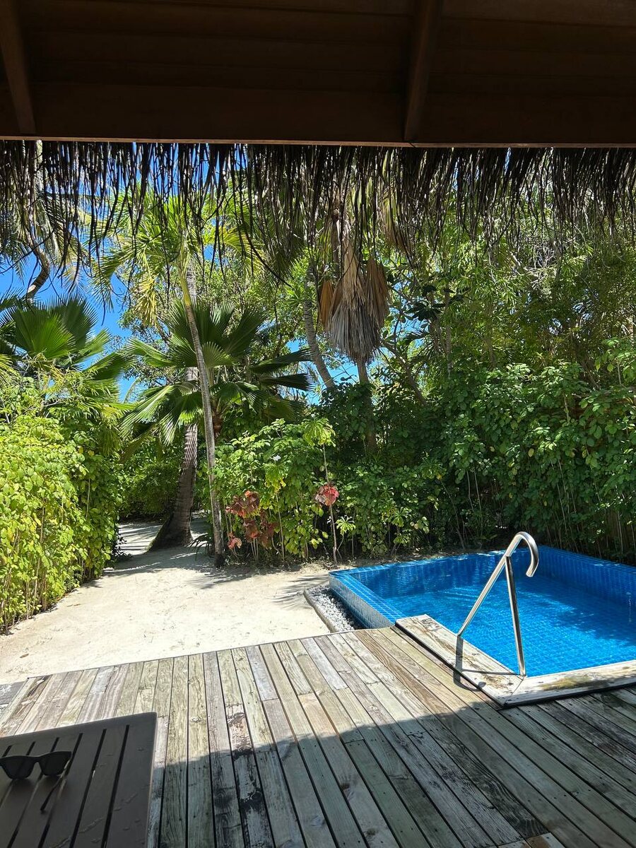 все утопает в зелени 