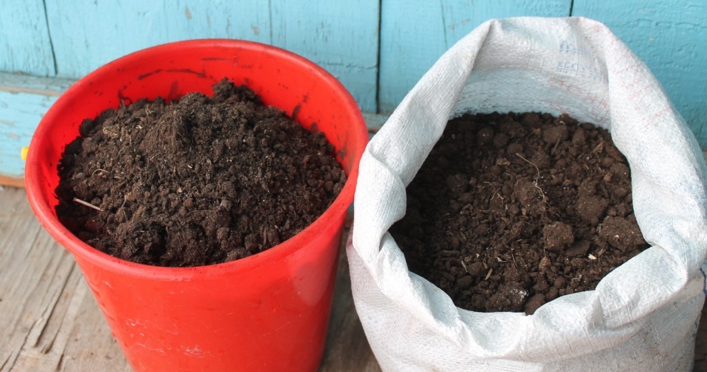 Где и как правильно хранить землю для рассады