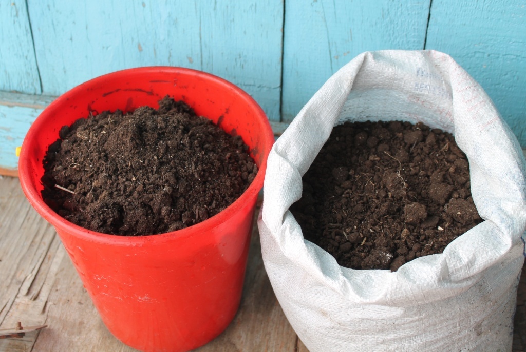  Заготовка земли для рассады