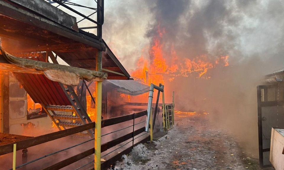Фото предоставлено отделом надзорной деятельности и профилактической работы по Куйбышевскому и Северному районам