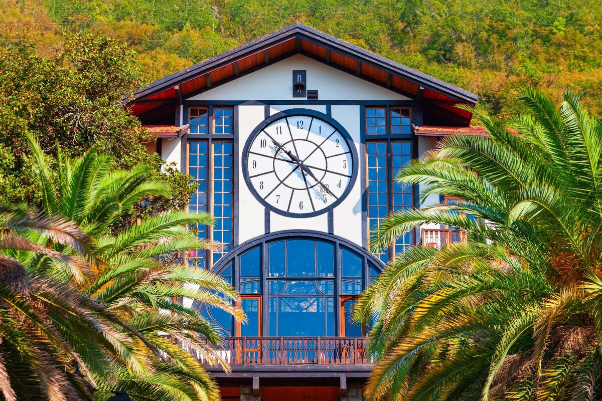    Фото: freepik.com